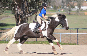 A rider on a running horse