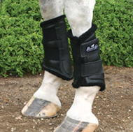ultrashock supports on a horse's legs