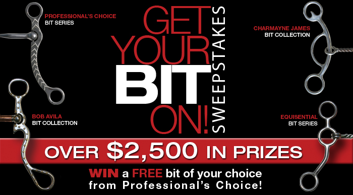 Get Your Bit On 2010 Sweepstakes