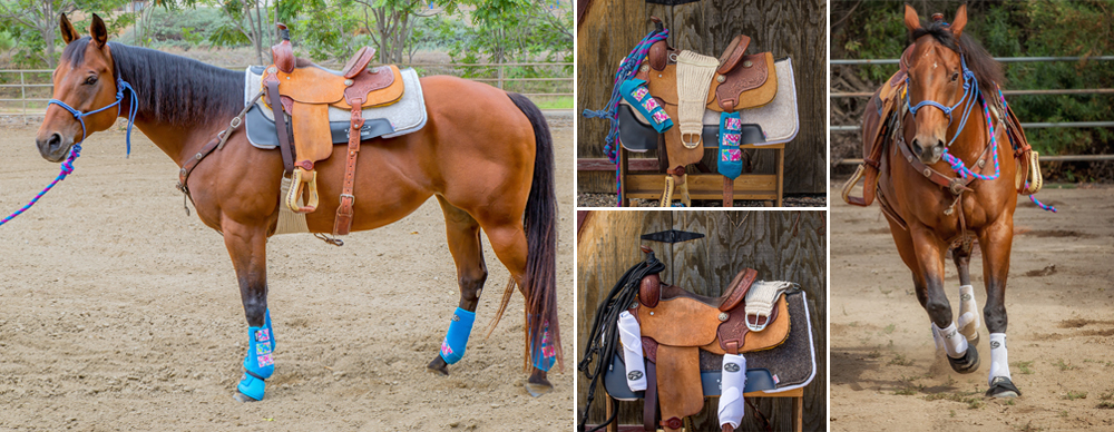 The Complete Equine Protection Pack by Professional’s Choice
