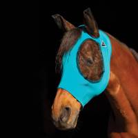 English - Fly Protection - Fly Masks