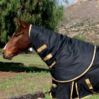 Brands - Equisential - Equisential by Professionals Choice - Equisential 600D Neck Cover