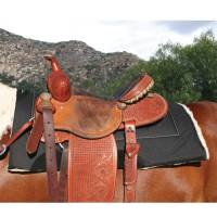 Brands - Equisential - Equisential by Professionals Choice - Equisential Work Pad