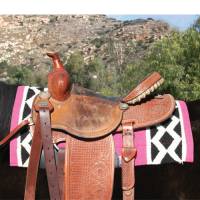 Charmayne James by Professionals Choice - Charmayne James SMx Air Ride Barrel Saddle Pad: Electra