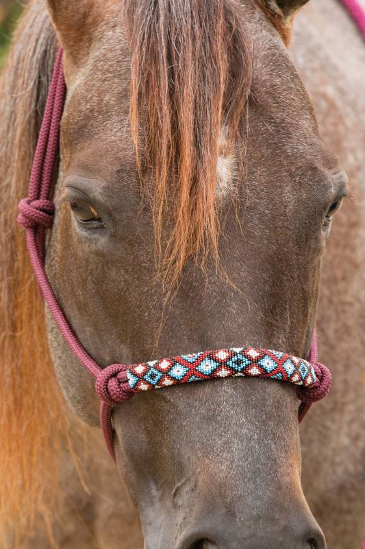 Beaded Rope Halter