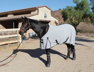 Therapy Products - Equine Theramic Products
