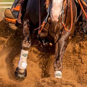 Western - Halters, Lead Ropes & Breast Collars