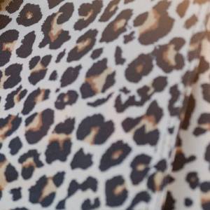 Collections - Cheetah