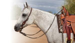 Reins - Romal Reins