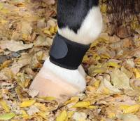 Professionals Choice - VenTECH Pastern Wrap - Black