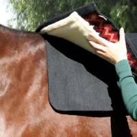 Saddle Pad Liner