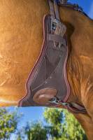 Steffen Peters by Professionals Choice - VenTECH Contoured Monoflap Girth 