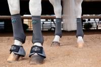 Equisential by Professionals Choice - 2XCool Sports Medicine Boot - Value 4-Packs