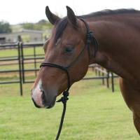 Professionals Choice - Equisential Rope Halter