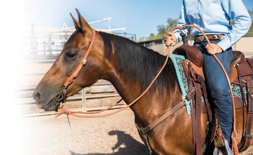 Rênes En Cuir Tressé Western Rommel Romal Avec Boutons Pression - Challenger Tack 6659