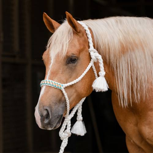 Cowboy Braided Woven Halter