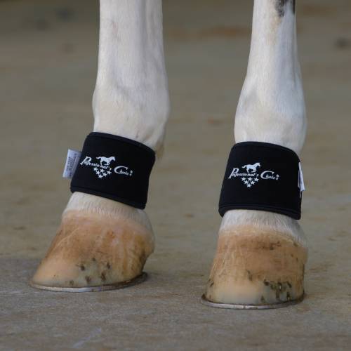 2XCool Pastern Wrap