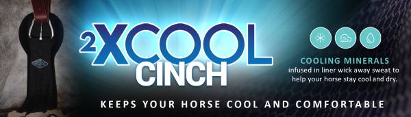 2XCool Cinch