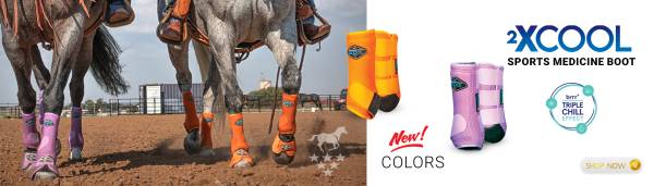 Orange Orchid 2Xcools