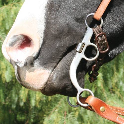The Bob Avila Collection by Professionals Choice - Bob Avila Training Snaffle Bit - Image 2
