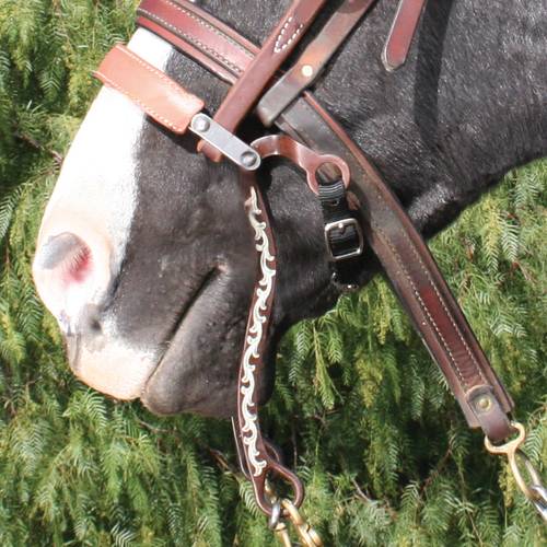 The Bob Avila Collection by Professionals Choice Equine Mechanical Hackamore Floral Bit AVB-132 