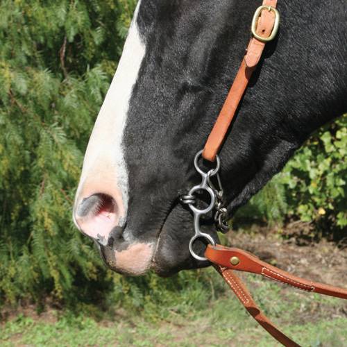 Advantage Short Shank Twisted Hex – Tom Balding Bits & Spurs
