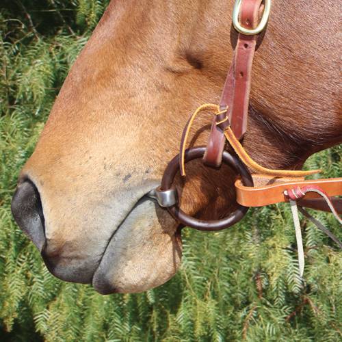 Bob Avila Copper Sweet Iron Twist Mouth Snaffle