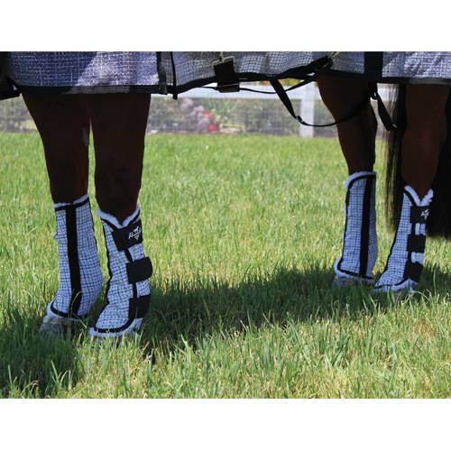 Professional choice fly boots 2025
