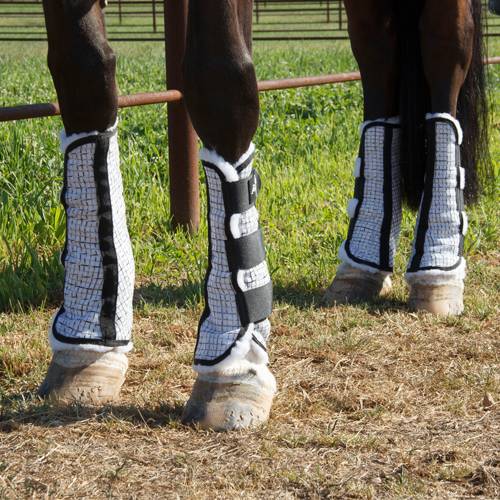 Fly boots for horses best sale