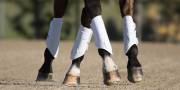 English Boots & Wraps