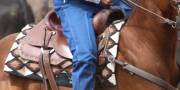 Western Saddle Pads