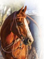 Easy-Change Rope Cheek Headstall - Image 1