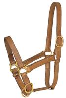 Western - Halters, Lead Ropes & Breast Collars - Turn Out Halters