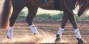 Western Boots & Wraps