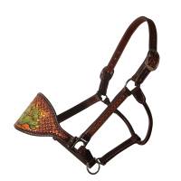 Collections - Cactus Collection - Cactus Bronc Halter