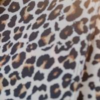 Gear & Accessories - Collections - Cheetah