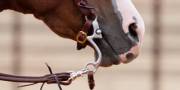 Western Bits & Spurs