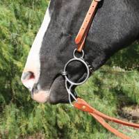 Equisential by Professionals Choice - Wonder Bit - Smooth Dogbone - Image 2