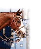 Professionals Choice - Braided Rawhide Double Rope Noseband - Image 2