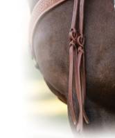 Professionals Choice - Popper Tail Heavy Oiled Split Reins - Image 2