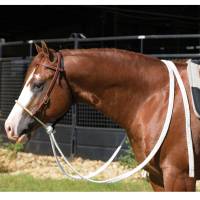 Ranch Heavy Oiled 5/8" Loping Hackamore with Mule Tape Reins