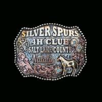 Belt Buckle A-CBB-078