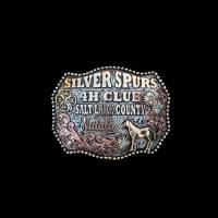 Belt Buckle A-CBB-136