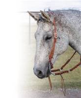 Professionals Choice - One-Ear Swell Cheek  Natural Floral Headstall - Image 2