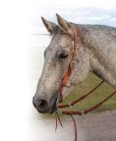 Tapered Natural Roughout Gunslinger Slit-Ear Headstall - Image 2
