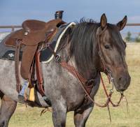 Chocolate Roughout Gunslinger 2" Contoured Breast Collar - Image 2