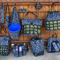 English - Collections - PC 50