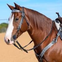 Leather - Collections - Paisley Collection