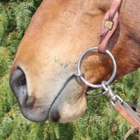 O-Ring Twisted Wire Snaffle - Image 2